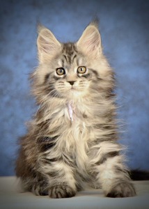 Honey violet ribbon girl/ reserved for Sharon 
