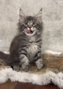 Nix male / reserved for Cheryl