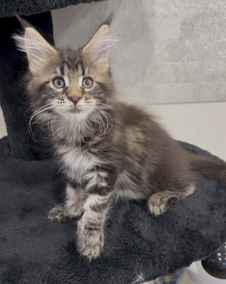 Janet female/ reserved for Jeffrey 