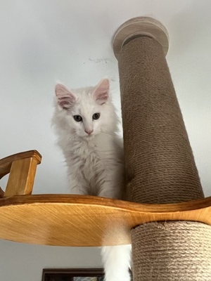White boy dark eyes/ Available