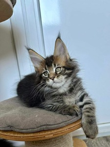 W5 black marble male/ reserved for Nicole and Bryan 