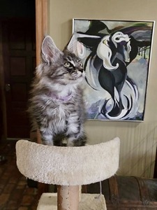 F3 silver boy / reserved for S