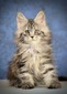 Honey violet ribbon girl/ reserved for Sharon / SOLD
