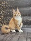 Shaman fixed male red with white / reserved for Laurie / SOLD