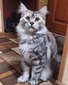 mom silver