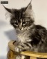 Ronaldo silver male/ reserved for Heather /SOLD