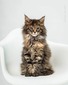 marble girl/ reserved for Lacy De La O